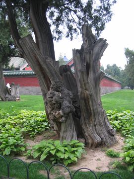 Peking - Himmelstempel