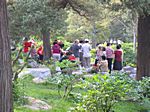 Chinesen beim Picknick