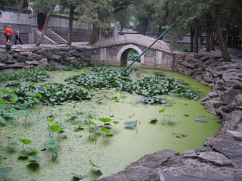 Peking - Sommerpalast