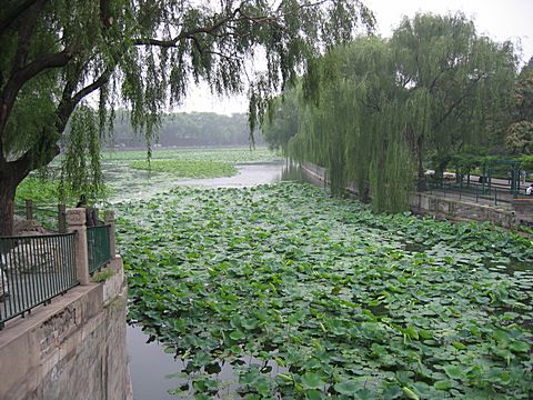 Peking - Bei Hai Park