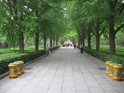 Peking - Lama Tempel (Yonghegong)