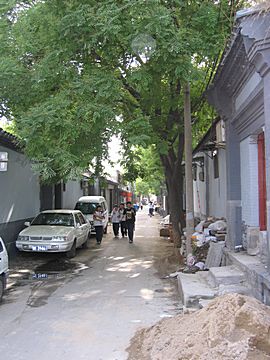 Peking - Hutongs