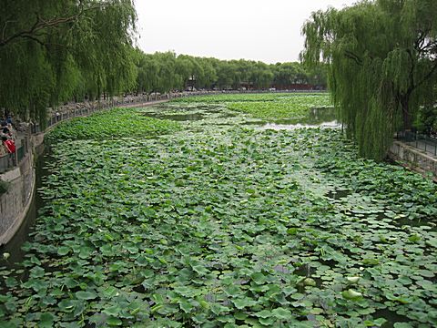 Peking - Bei Hai Park