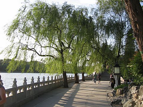 Peking - Bei Hai Park - Jade Insel
