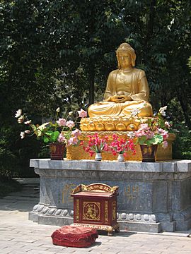 Big Wild Goose Pagoda - Da Cien Temple