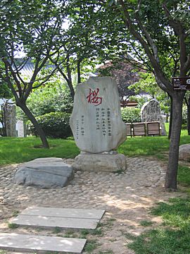 Big Wild Goose Pagoda - City Park