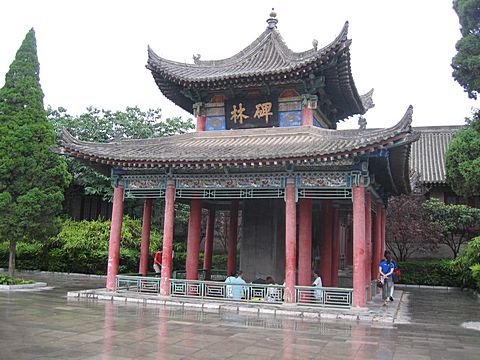 Xi'An - Beilin Museum