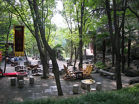 Luoyang - Bei Yuan Graveyard