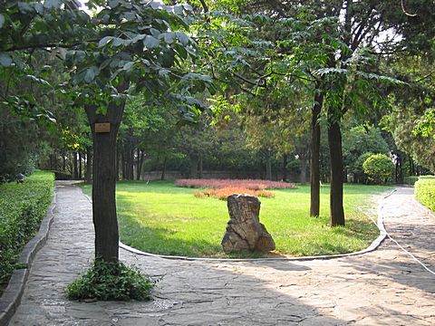 Luoyang - Bei Yuan Graveyard