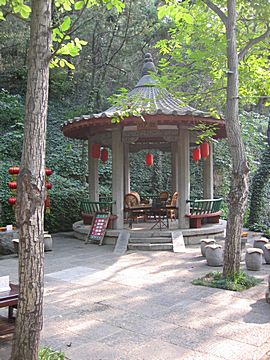 Luoyang - Bei Yuan Graveyard