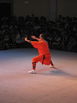 Shaolin Temple - Kung Fu