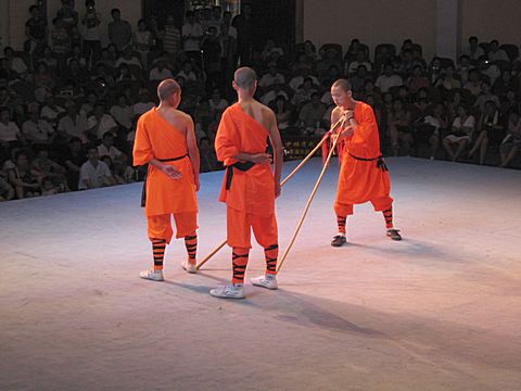 Shaolin Temple - Kung Fu