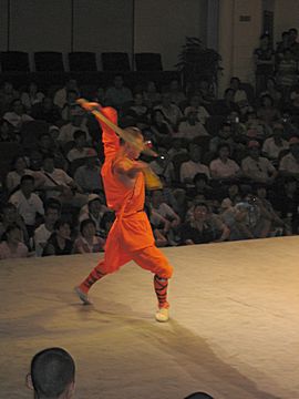 Shaolin Temple - Kung Fu