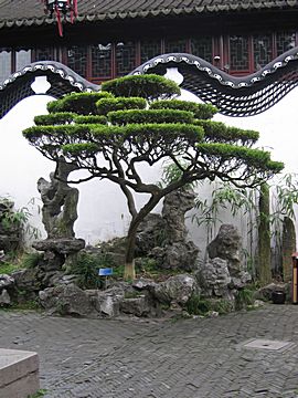 Shanghai - Yu Yuan Garten