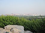 Peking - Green Forest Park