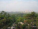 Peking - Green Forest Park