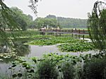 Peking - Yuanming Yuan Park