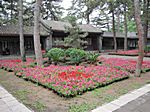 Mountain Summer Resort