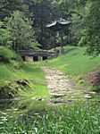 Mountain Summer Resort