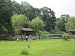 Mountain Summer Resort