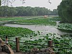 Peking - Bei Hai Park