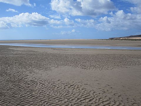 Playa Sotavento