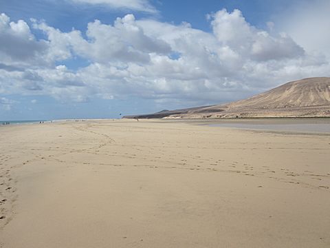 Playa Sotavento