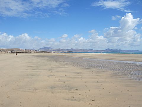 Playa Sotavento