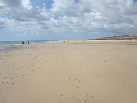 Playa Sotavento