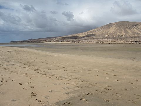 Playa Sotavento