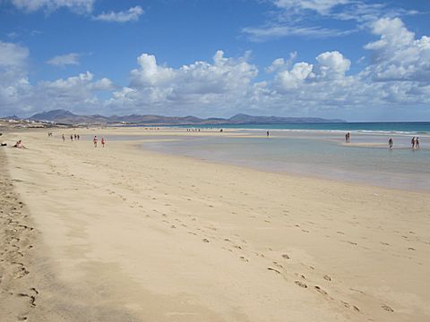 Playa Sotavento