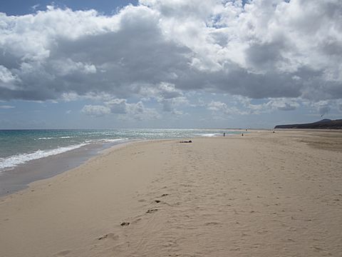 Playa Sotavento