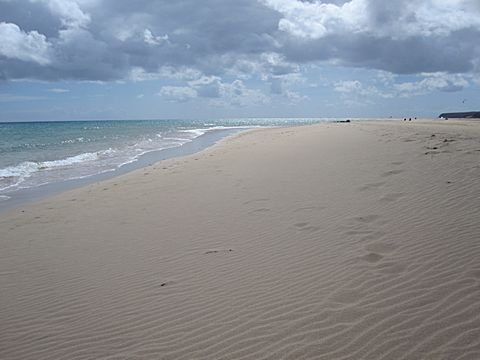 Playa Sotavento