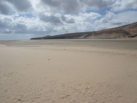 Playa Sotavento