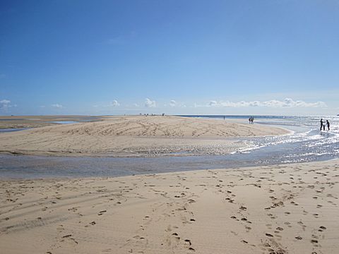 Playa Risco del Paso