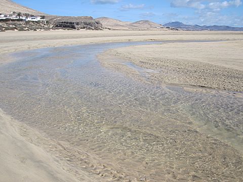 Playa Risco del Paso