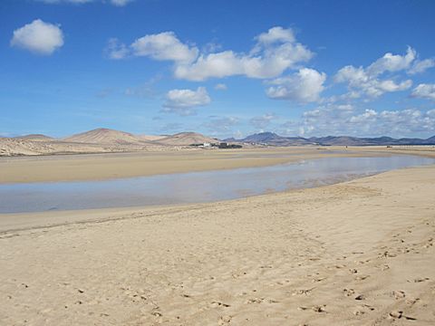 Playa Sotavento