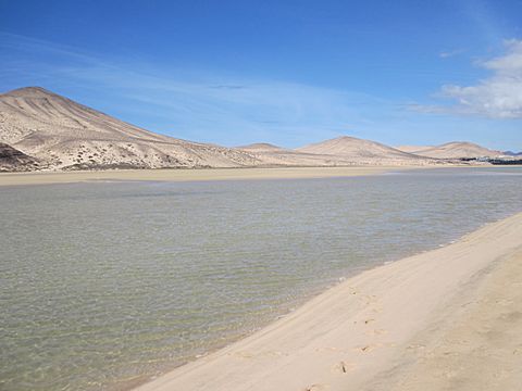 Playa Sotavento