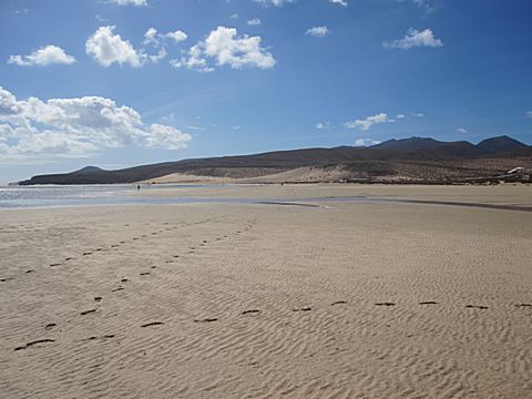 Playa Sotavento