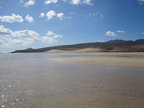 Playa Sotavento