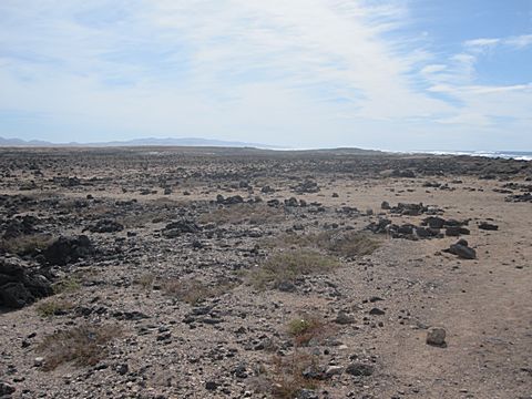 El Cotillo