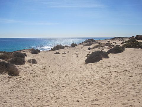 Corralejo