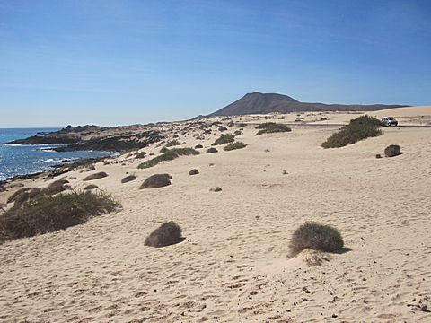 Corralejo