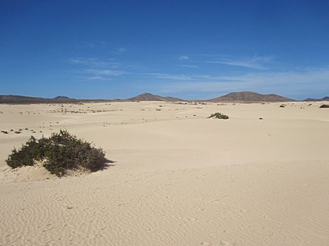 Corralejo