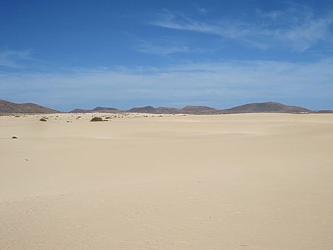 Corralejo