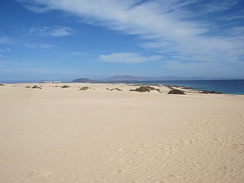 Corralejo