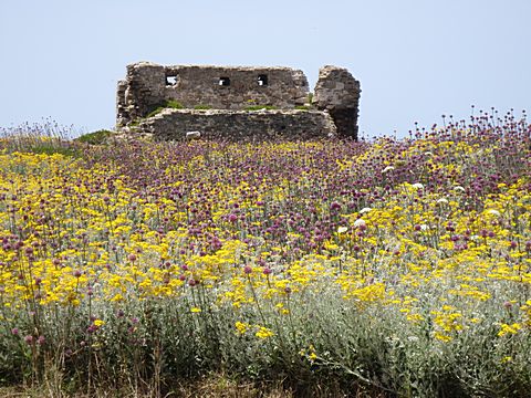 Methoni