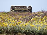 Methoni