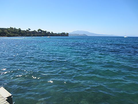 Koroni