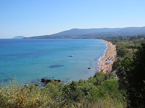 Koroni